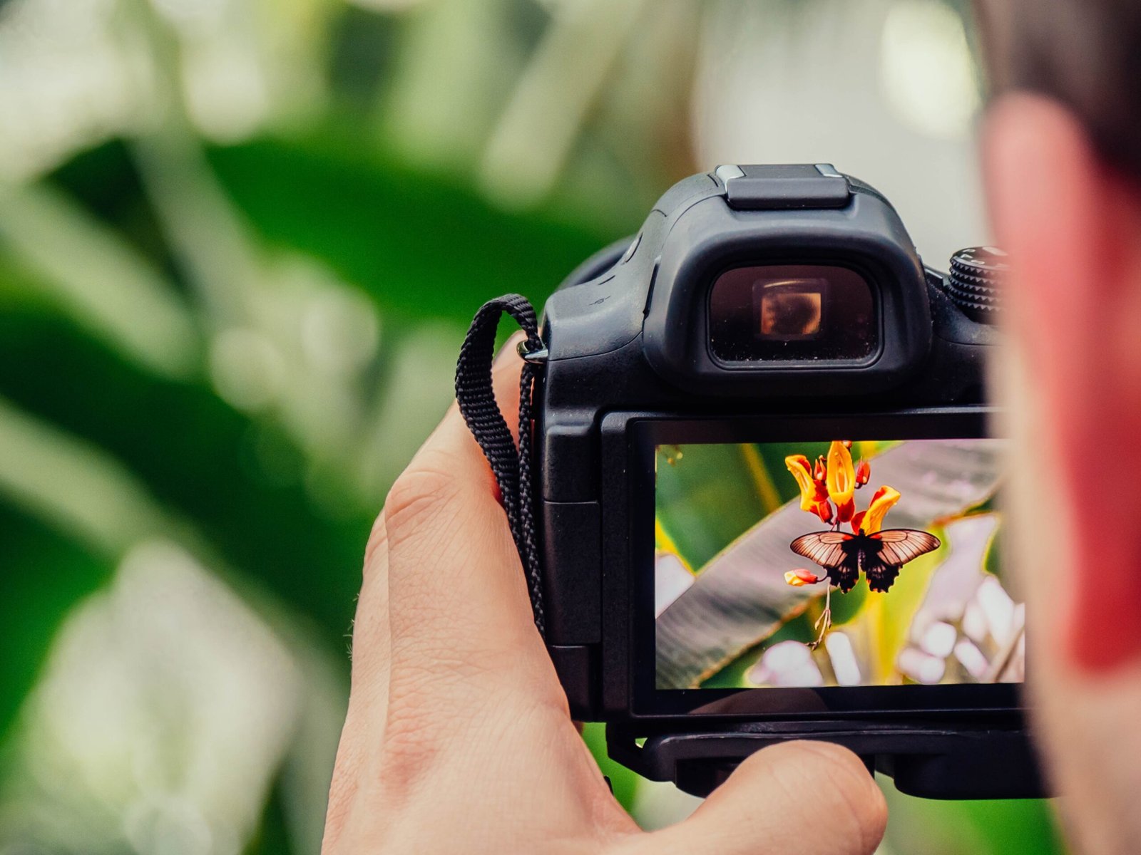 A Guide To Real Estate Photography: Capturing The Perfect Shot